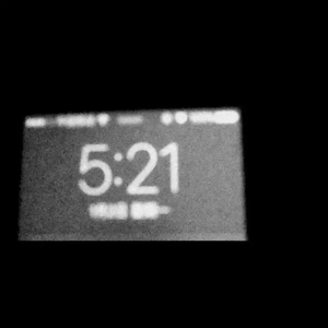 欧美女人与狗马性交搞内射
