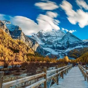 欧美女人与狗马性交搞内射
